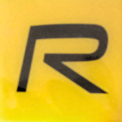 R LOGO