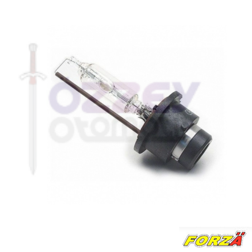 Zenon Ampul D2S
