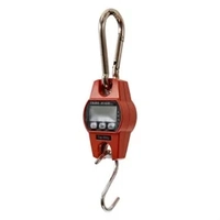 CRANE SCALE 300 Kg Askl engelli Baskl