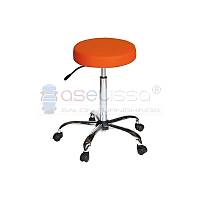 ASEL�SSA UZMAN �ALI�MA TABURES�