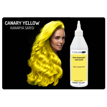 COLOR UP YARI KALICI SA BOYASI KANARYA SARISI