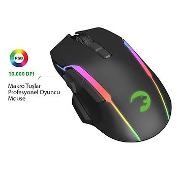 Gamepower Icarus Gaming RGB Mouse 10.000DP USB Siyah