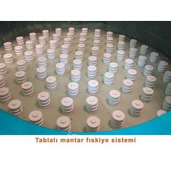 � 1250 mm 37 m�/h - 49 m�/h Norm Plus Havuz Filtresi