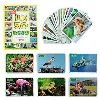 İlk 50 Hayvan, Flash Cards, Zeka Kartları, Eğitici Kartlar Hafıza Kartları