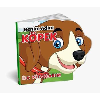 Diy-Toy, lk Kitaplarm Serisi, Hayvanlar, 6 l Set, Eitici Zeka Gelitirici