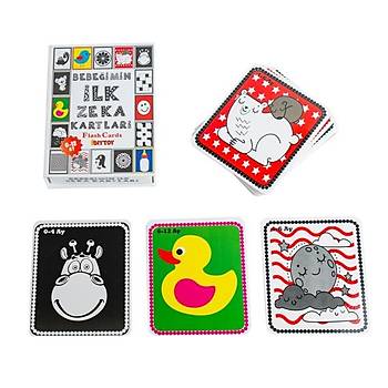 Bebeğimin İlk Zeka Kartları, Flash Cards, Eğitici Kartlar, Hafıza Kartları