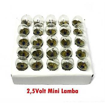 Mini Ampül, Deney Setleri İçin, 2,5 V, Sarı Ampul, Mini Lamba, Elektrik Devresi