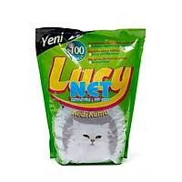Lucy Silica Kedi Kumu 