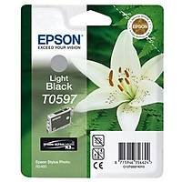 Epson T0597 C13T05974020 Açık Siyah Orjinal Kartuş - Stylus Photo R2400
