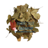 G�rsel 1