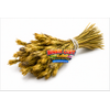 G�rsel 5