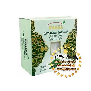 Paksa �ay A�ac� Sabunu