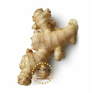 Taze Zencefil 1 Kg l�k Paket