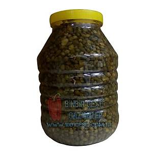 Kapari Tur�usu Keber Tur�usu 5 Kg