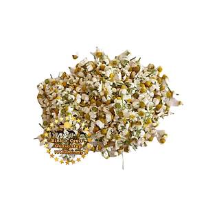 Papatya Kurusu 1 Kg l�k Paket