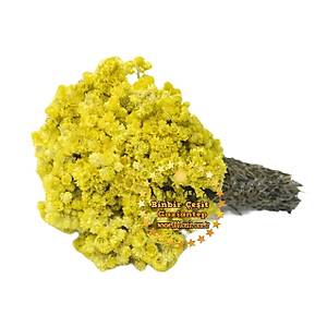 Alt�n Otu 1 Kg l�k Paket