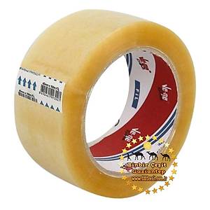 Koli Band� 90 Metrelik