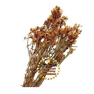 K�rm�z� Kantaron Otu 250 Gr l�k Paket