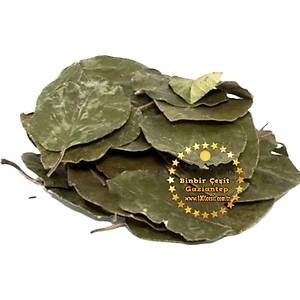 Avakado Yapra�� 1 Kg l�k Paket