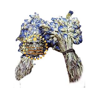 Afat Otu Afat Bitkisi