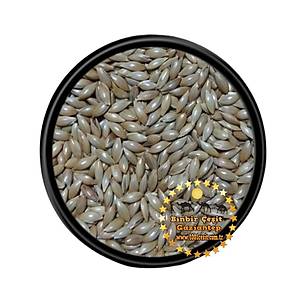 Kanarya Yemi Sade 1 Kg l�k Paket