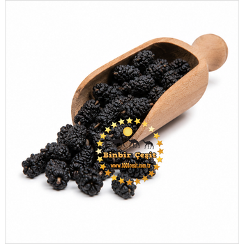 Karadut Kurusu 250 Gr Taze ve Do�al