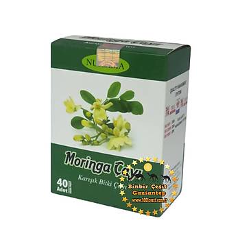 Nursima Moringa ay 40 Ad