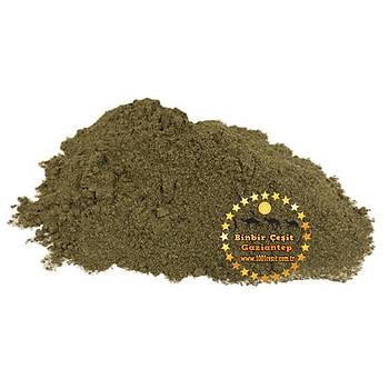Isrgan Tohumu Tozu 100 Gr lk Paket