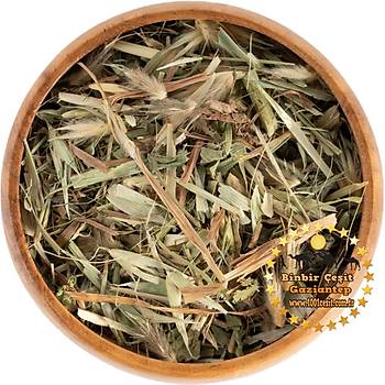 Yeil Yulaf Saman 30 Gr lk Paket