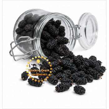 Karadut Kurusu 250 Gr Taze ve Do�al
