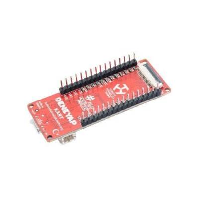 Deneyap Elektronik Geliştirme Kartı | Komponentci