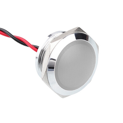 WD22L-P2 22mm 12-24V Kablolu Metal Sinyal Lambası - Beyaz