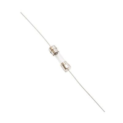 1.6A 5x20mm Cam Sigorta - Dip Uzun Bacaklı