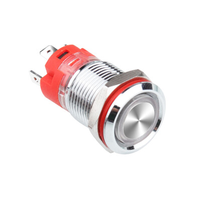 WD12D-P1Z-E 12mm Düz Anahtarlı Işıklı Metal Buton - Mavi