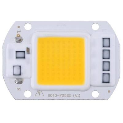 Gün Işığı 220V Projektör Cob Led 50W Driver Çipli