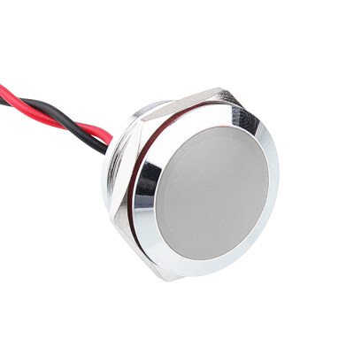 WD19L-P2 19mm 12-24V Kablolu Metal Sinyal Lambası - Beyaz