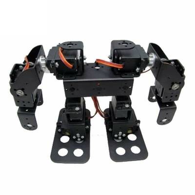 8 Eksenli İnsansı Robot - Humanoid Robot