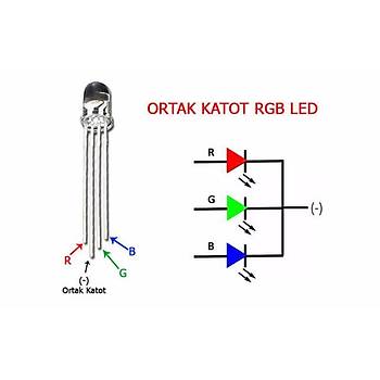 5mm RGB Led (Ortak Katot - 4 Pin)