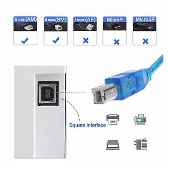 1.5M USB2.0 Filtreli Yazc Printer Kablosu Mavi 
