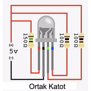 5mm RGB Led (Ortak Katot - 4 Pin)