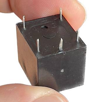 12V Minyon Spot Rle