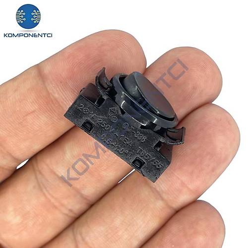 IC-192C Abajur D��mesi Arapuar Anahtar� OJ-336