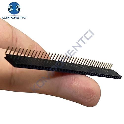 Dişi Pin Header 40 Pin 2.54mm 1x40 90° Tek Sıra | Komponentci