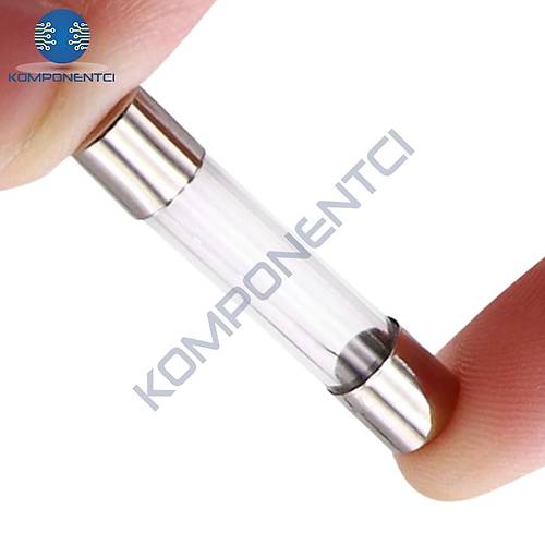 0.25A 6x30mm Cam Sigorta