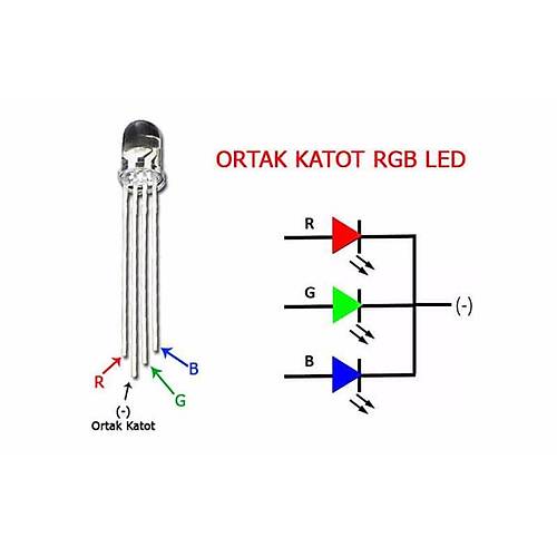 5mm RGB Led Ortak Katot - 4 Pin