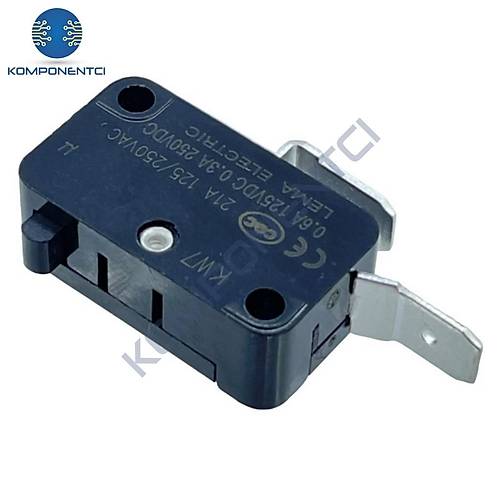 IC-176D Paletsiz Micro Switch 220V 21A