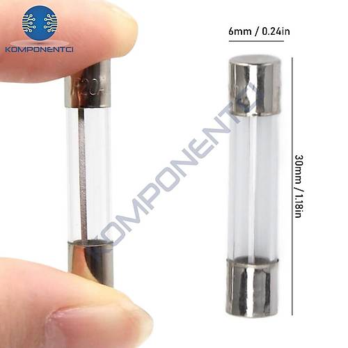 0.25A 6x30mm Cam Sigorta