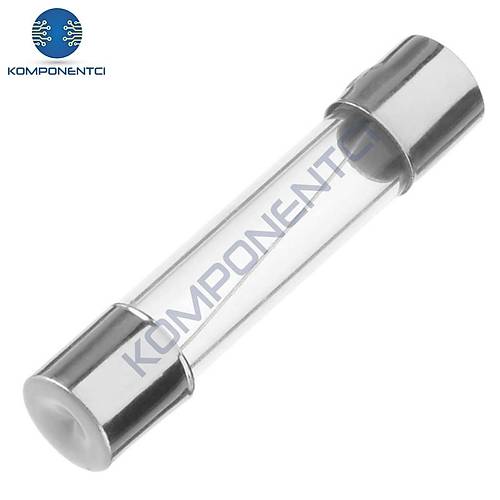 0.25A 6x30mm Cam Sigorta
