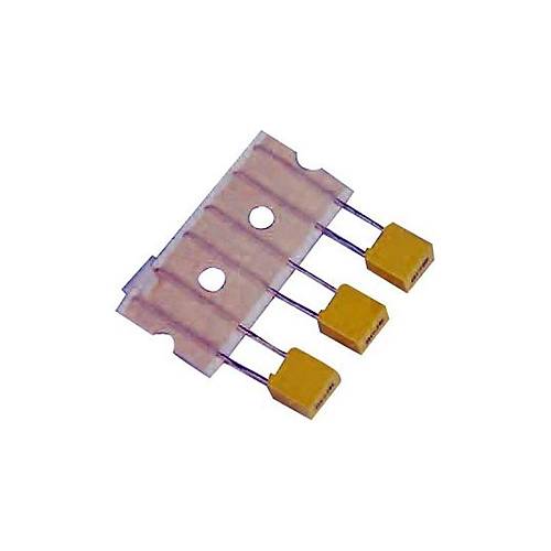100nF 63V 5mm Polyester Kondansatr