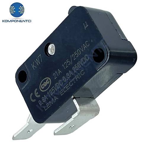 IC-176D Paletsiz Micro Switch 220V 21A